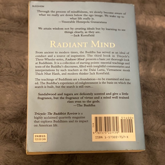 Radiant Mind Book - Picture 2 of 2
